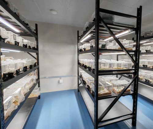 昆蟲(chóng)培養(yǎng)室